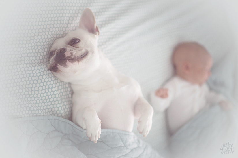 Una publicación de ternura impensable de cachorros, ¡humanos y no solo!