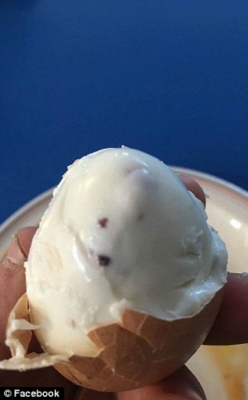Una tortilla con moho, manzanas podridas y pollo crudo: qué más se alimenta en el ejército británico Una tortilla con moho, manzanas podridas y pollo crudo: qué más se alimenta en el ejército británico