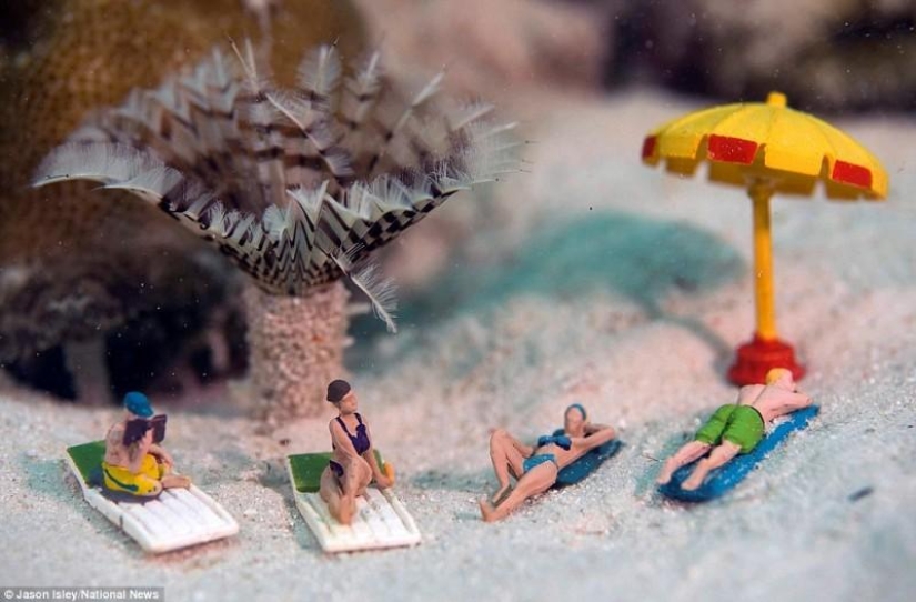 underwater life toys underwater life toys