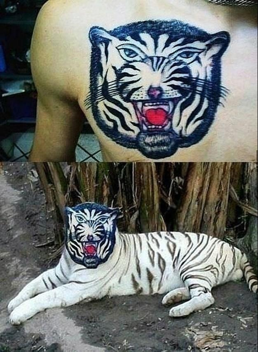 Unreal tattoos of real people and animals Unreal tattoos of real people and animals