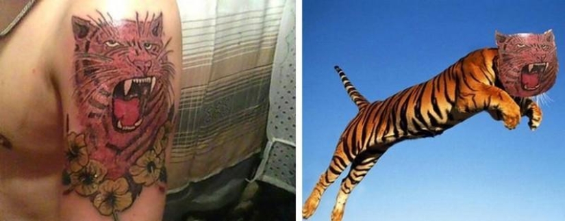 Unreal tattoos of real people and animals Unreal tattoos of real people and animals