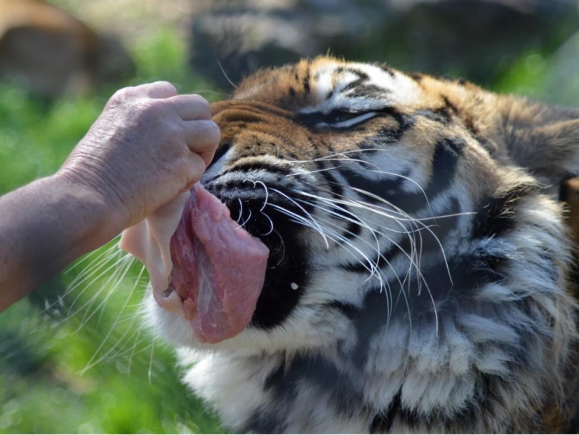 Unusual friendship - they have been together for 13 years