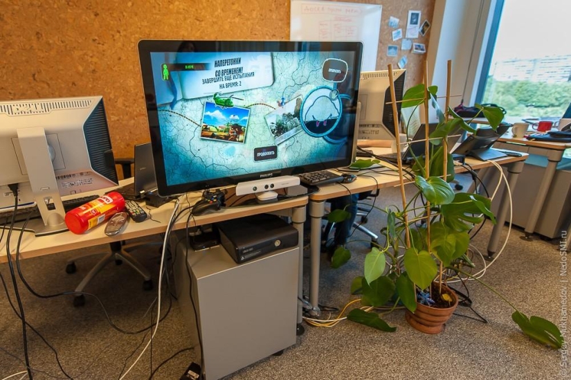 Unusual office: I want to work like this!