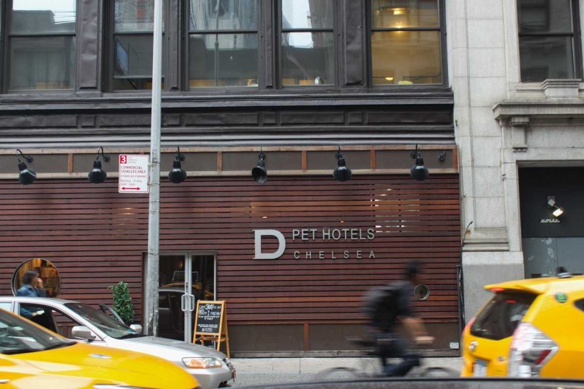 Up to $200 a Night: New York Dog Hotel Up to $200 a Night: New York Dog Hotel