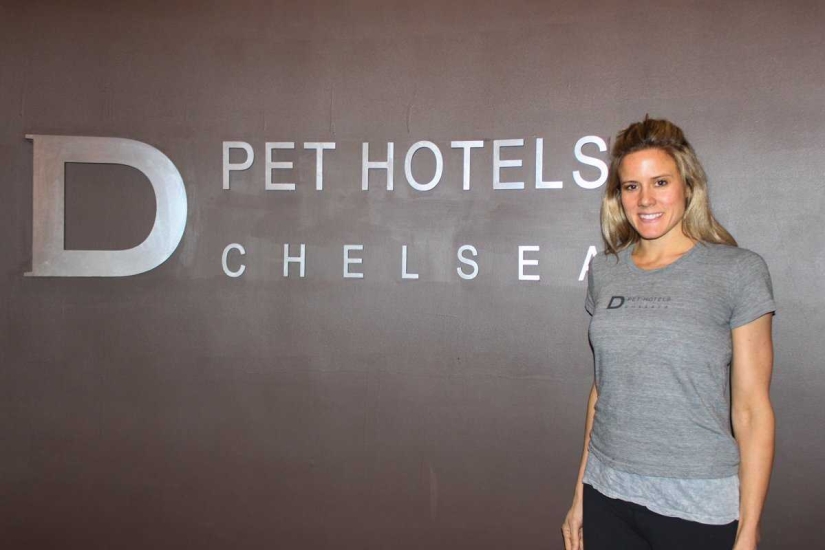 Up to $200 a Night: New York Dog Hotel Up to $200 a Night: New York Dog Hotel