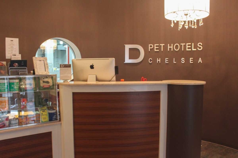 Up to $200 a Night: New York Dog Hotel Up to $200 a Night: New York Dog Hotel