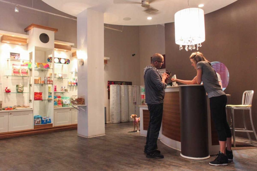 Up to $200 a Night: New York Dog Hotel Up to $200 a Night: New York Dog Hotel