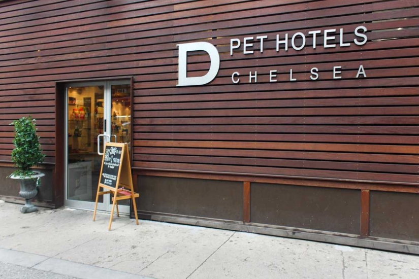 Up to $200 a Night: New York Dog Hotel Up to $200 a Night: New York Dog Hotel