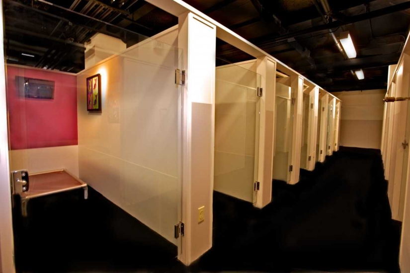 Up to $200 a Night: New York Dog Hotel Up to $200 a Night: New York Dog Hotel