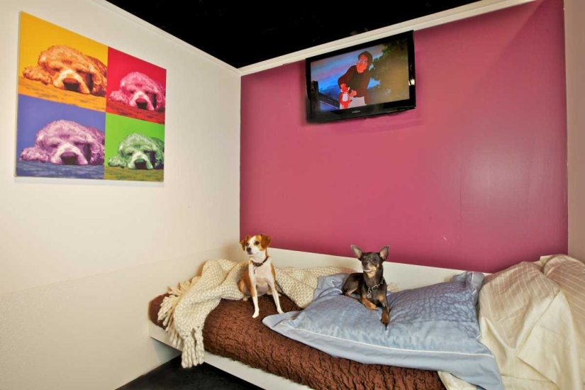 Up to $200 a Night: New York Dog Hotel Up to $200 a Night: New York Dog Hotel