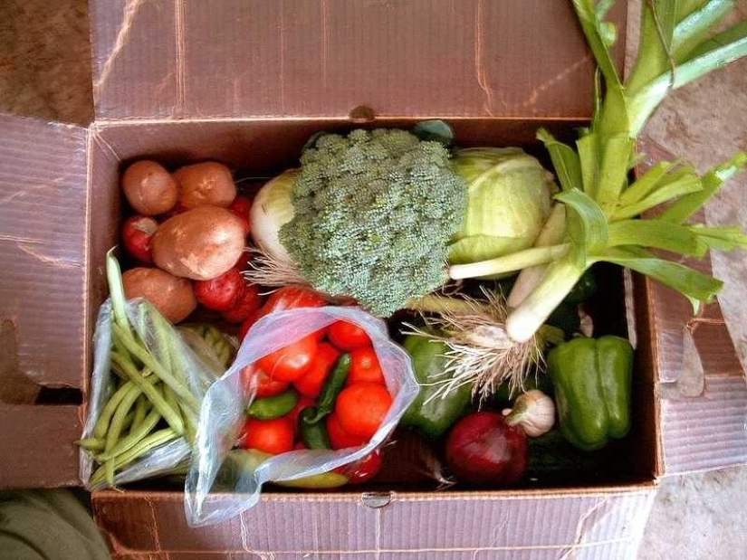 Useful tips to be healthy Useful tips to be healthy