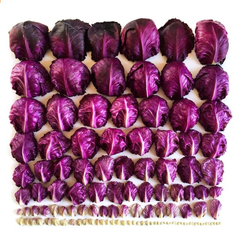 Usuario de Instagram convierte comida en pinturas de arcoíris Usuario de Instagram convierte comida en pinturas de arcoíris