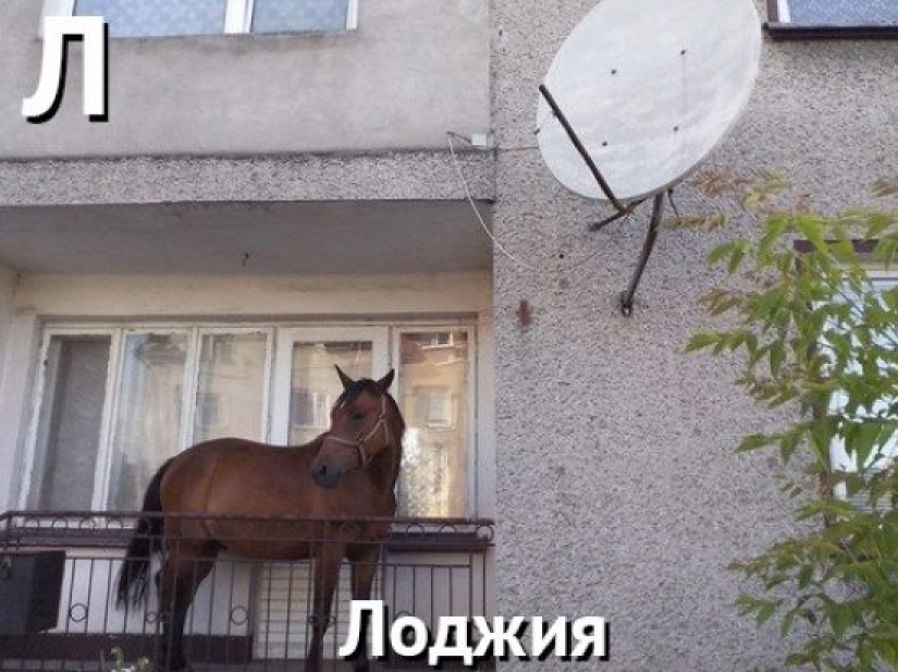 V — Splendor: A harsh alphabet for interior designers