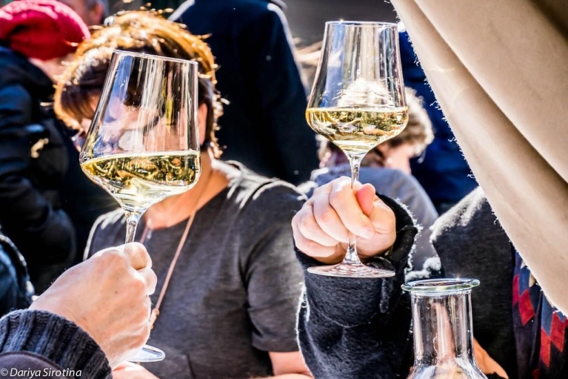 Viena: programa obligatorio