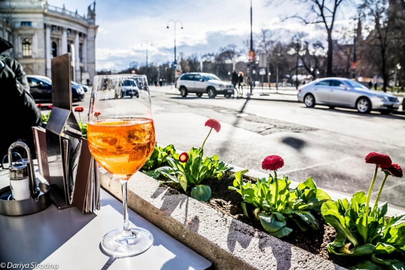 Viena: programa obligatorio