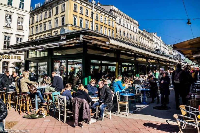 Viena: programa obligatorio