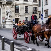 Viena: programa obligatorio