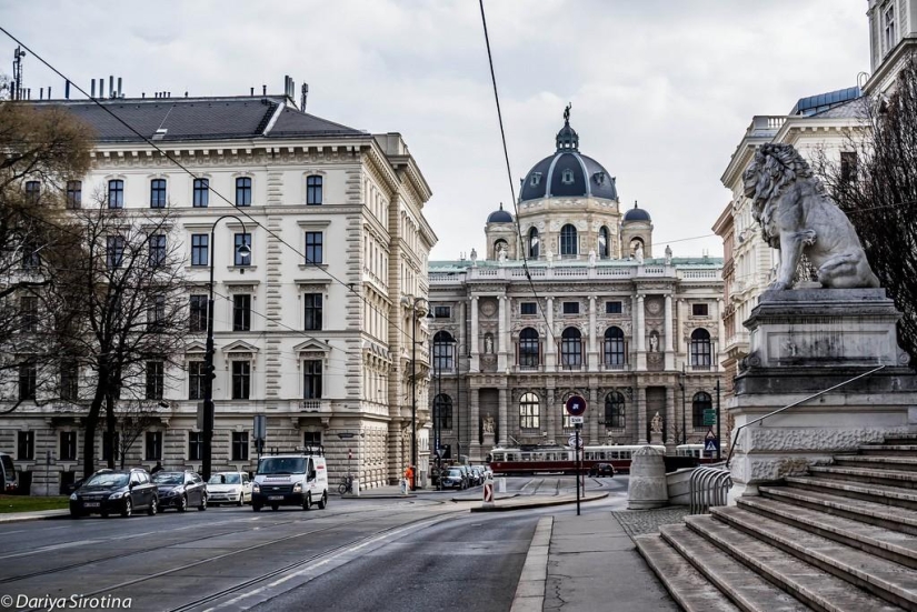 Viena: programa obligatorio