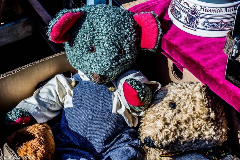 Viena: programa obligatorio