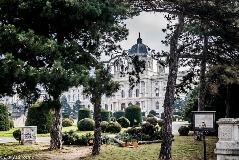 Viena: programa obligatorio