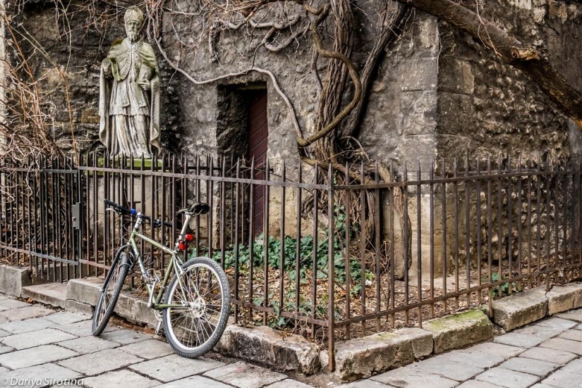 Viena: programa obligatorio