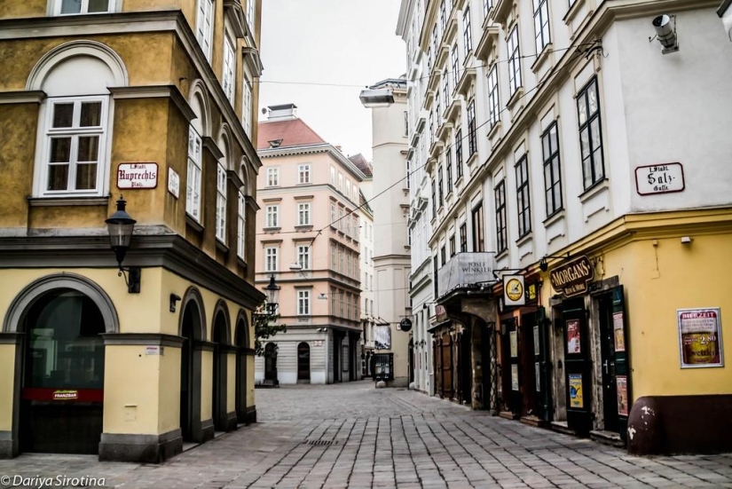 Viena: programa obligatorio