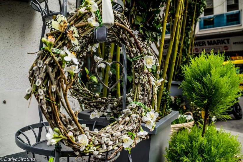 Viena: programa obligatorio