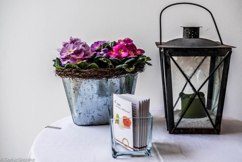 Viena: programa obligatorio