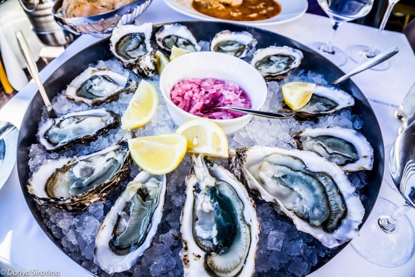 Viena: programa obligatorio