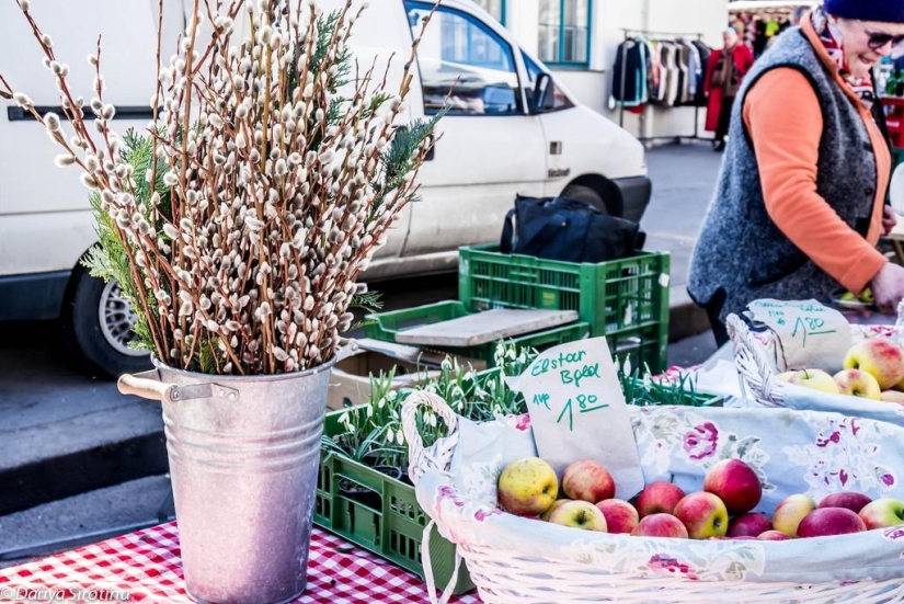 Vienna: Mandatory Program