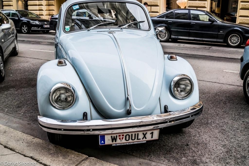 Vienna: Mandatory Program