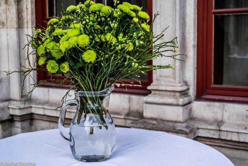 Vienna: Mandatory Program