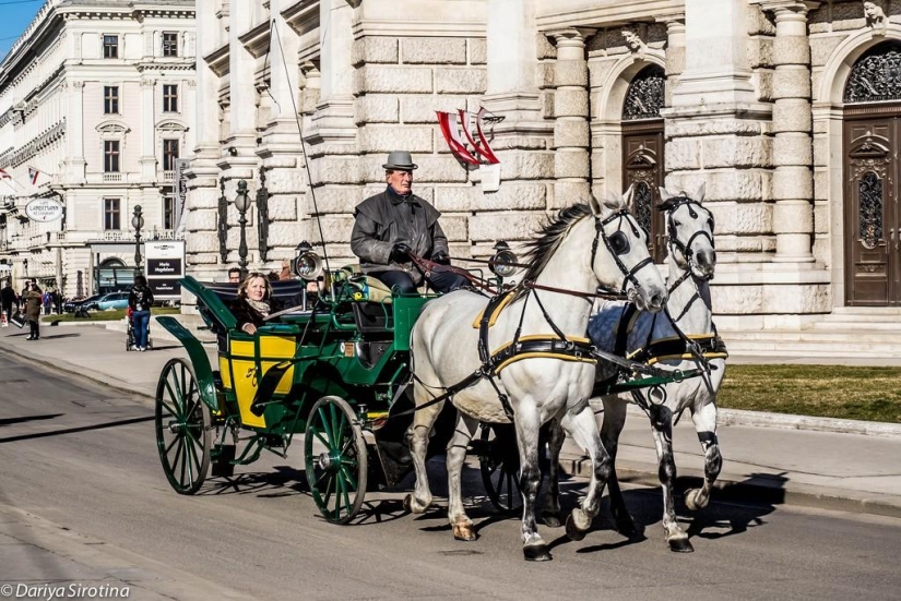 Vienna: Mandatory Program