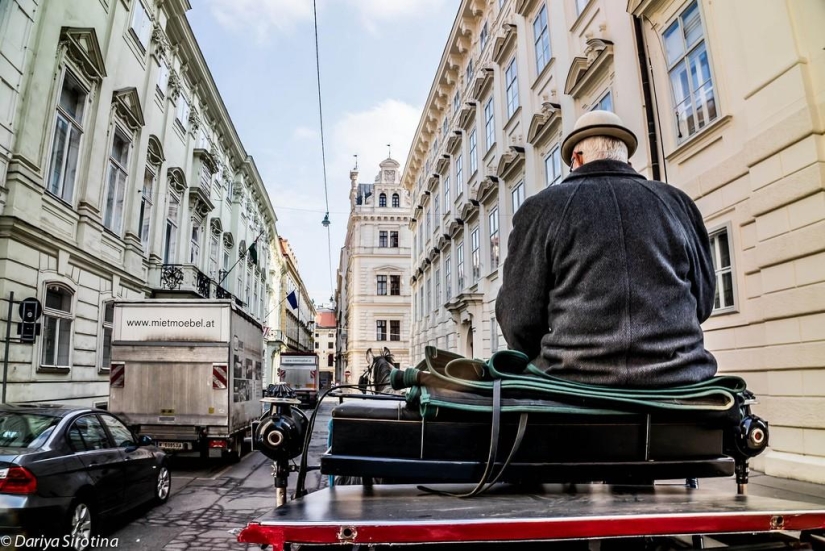 Vienna: Mandatory Program