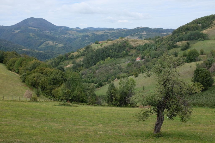 Village of Emir Kusturica