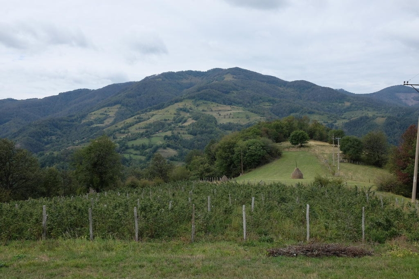 Village of Emir Kusturica