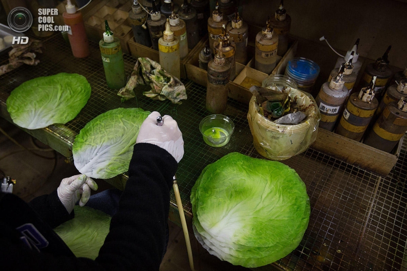 Vinyl dishes: Inedible, but beautiful