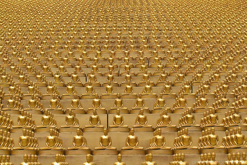 Visitar una buena secta