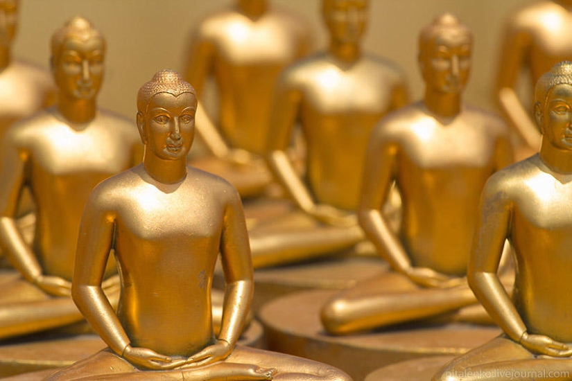 Visiting a good sect