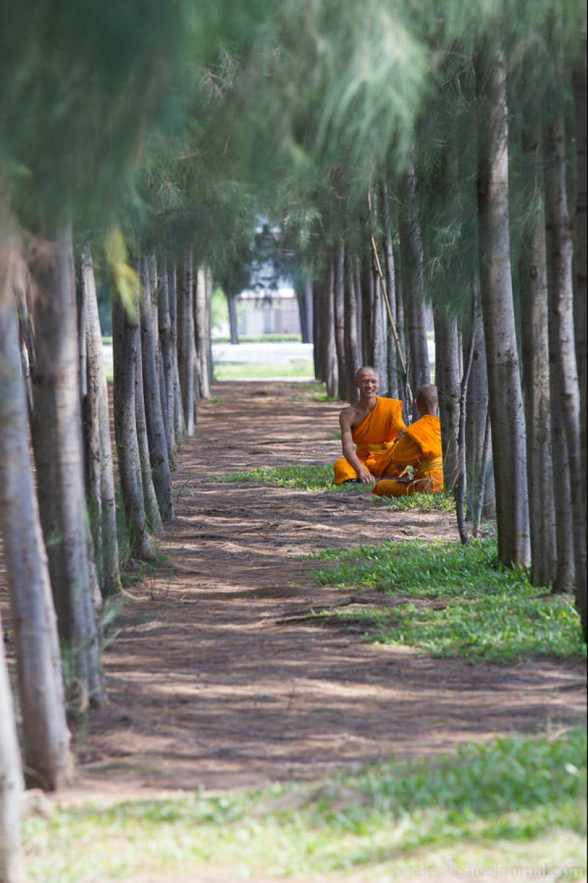 Visiting a good sect