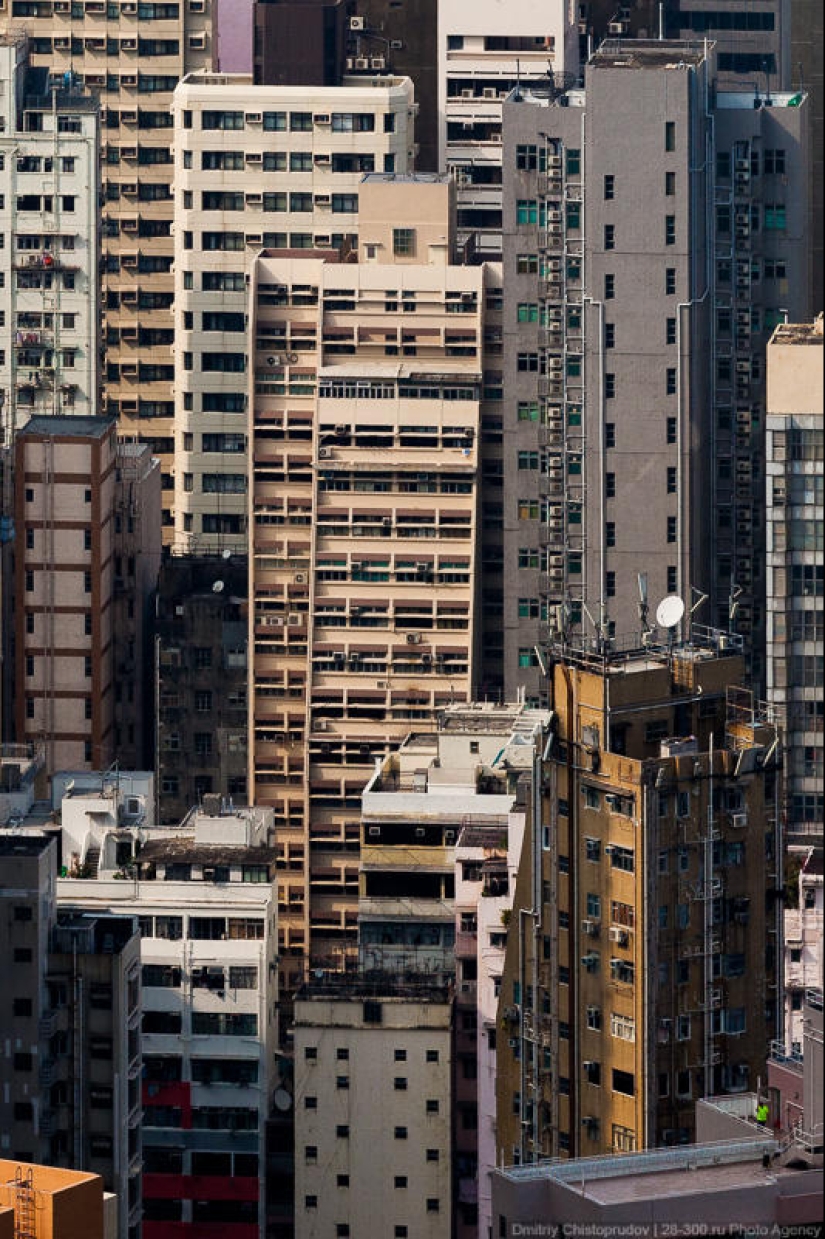 Vivienda social en Hong Kong
