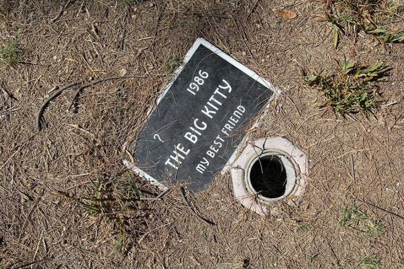 Vivirás para siempre en nuestros corazones: fotos del cementerio de mascotas de Los Ángeles
