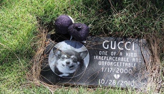 Vivirás para siempre en nuestros corazones: fotos del cementerio de mascotas de Los Ángeles