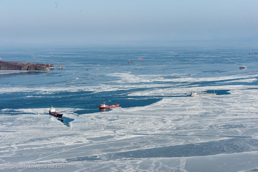 Vladivostok, Russian island and the coast from a helicopter Vladivostok, Russian island and the coast from a helicopter