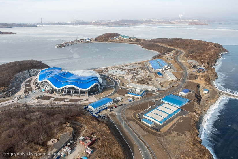 Vladivostok, Russian island and the coast from a helicopter Vladivostok, Russian island and the coast from a helicopter