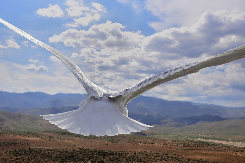 Volando sobre el suelo como un pájaro