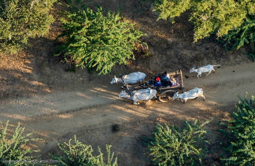 Vuelo en globo aerostático sobre Bagan