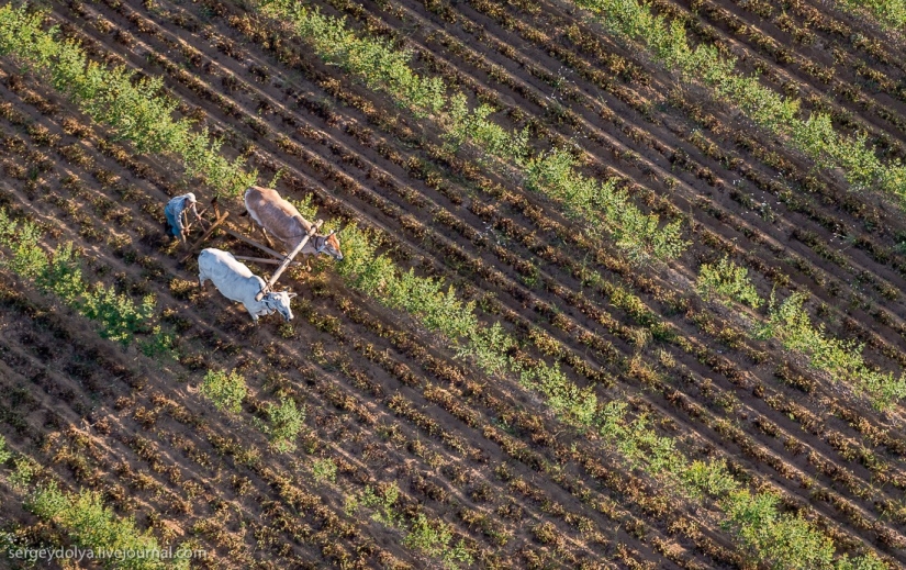 Vuelo en globo aerostático sobre Bagan