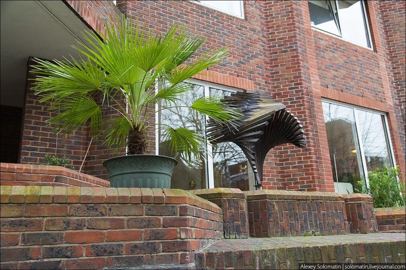 Walking in London in spring Walking in London in spring