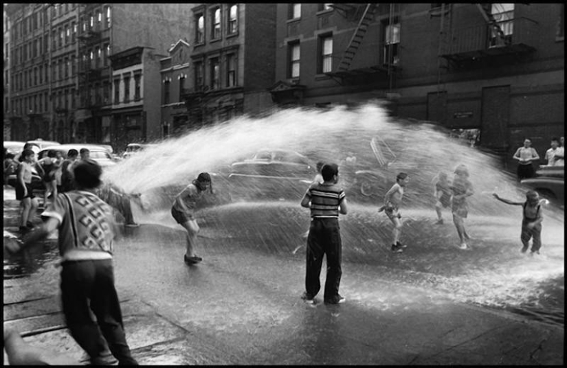 Warm and funny photos of Elliot Erwitt Warm and funny photos of Elliot Erwitt